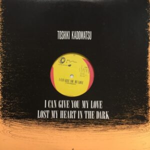 角松 敏生<br><font color="brown">I Can't Give You My Love</font></br>