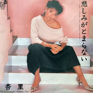 杏里<br><font color="brown">悲しみがとまらない</font></br>
