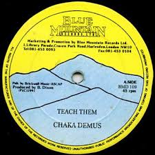 Chaka Demus<br><font color="brown">Teach Them</font></br>