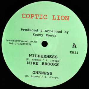 Mike Brooks<br><font color="brown">Wilderness</font></br>