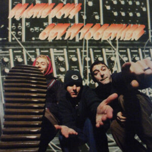 Beastie Boys<br><font color="brown">Get It Together</font></br>