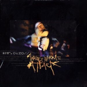 Mr. Oizo <br><font color="brown">Analog Worms Attack</font></br>