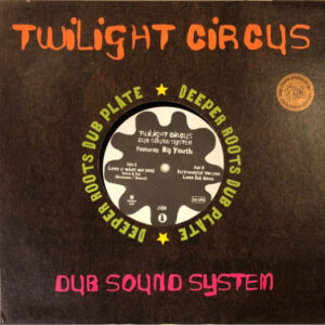 Twilight Circus Dub Sound System<br><font color="brown">Love Is What We Need</font></br>