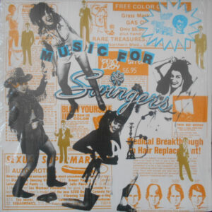 Dimebag Child, Mother Hips …etc<br><font color="brown">Music For Swingers</font></br>
