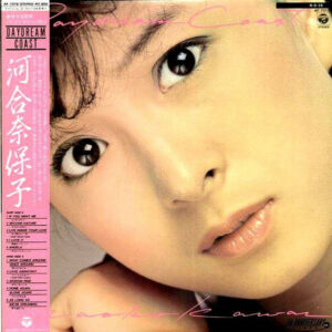 河合 奈保子<br><font color="brown">Daydream Coast</font></br>